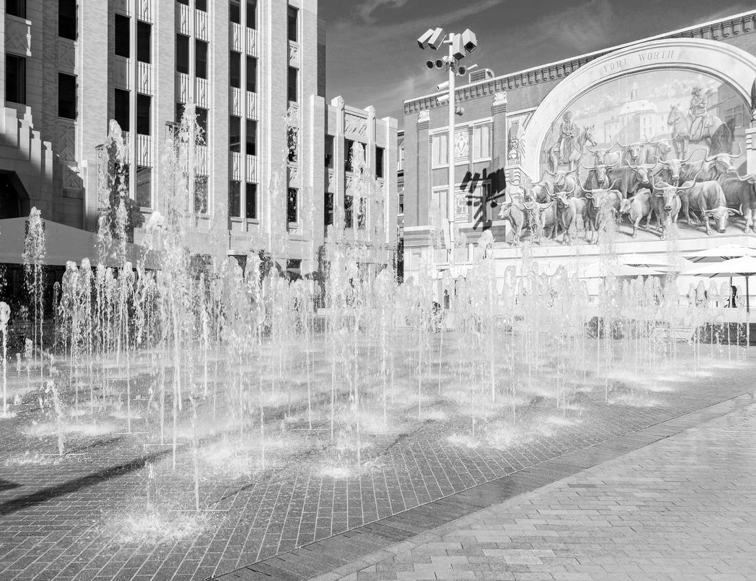 Noah Jigsaw Puzzle Parliament Building in Liechtenstein, Vaduz in black white 1000 pieces