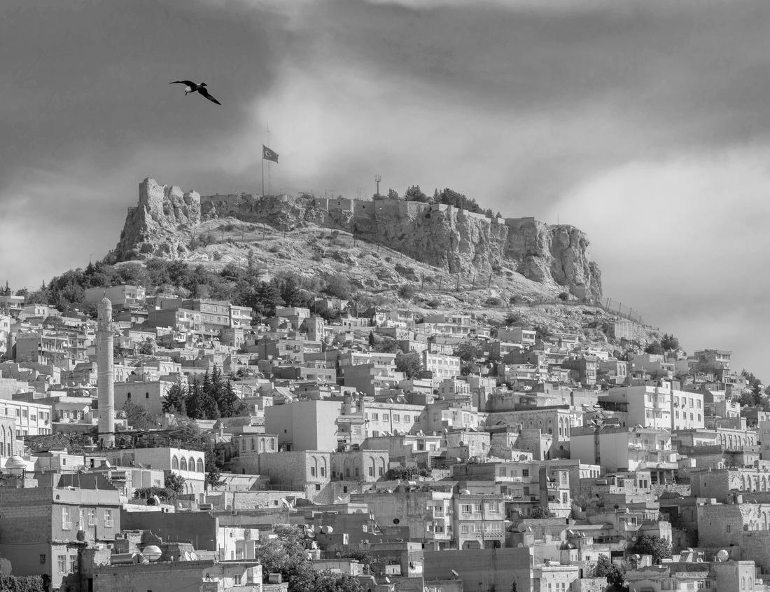 Noah Jigsaw Puzzle ?ourion ancient ruins of the ancient city. Achilles' House Kourio Basilica at The Sanctuary of Apollo at the Kourion World Heritage Archaeological site near Limassol (Lemesos), Cyprus in black white 1000 pieces