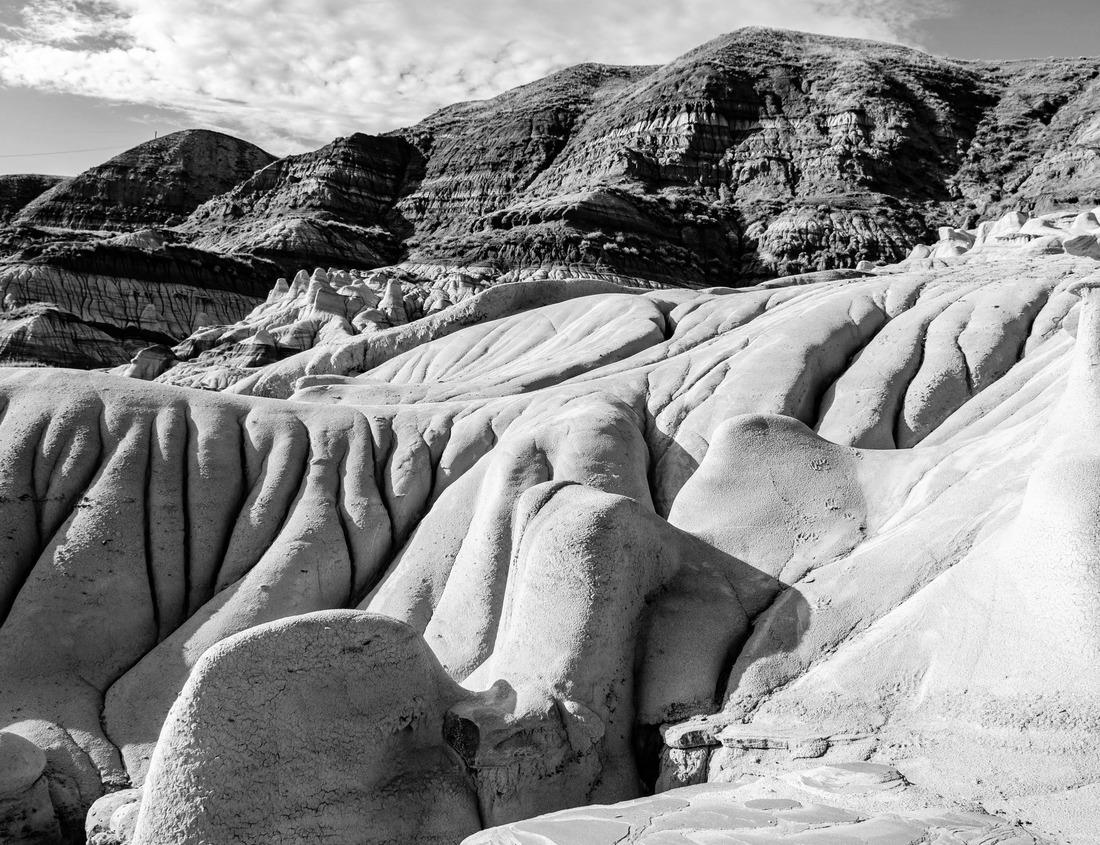 Waco Mammoth National Monument, paleontological site and museum in Waco, Texas. Fossils of Columbian mammoths (Mammuthus columbi) and other mammals of Pleistocene Epoch. Adult female skull with tusks 1000pc PuzzleBlack and White