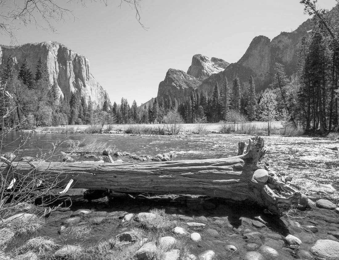 Noah Jigsaw Puzzle Old city of Arles, France in black white 1000 pieces