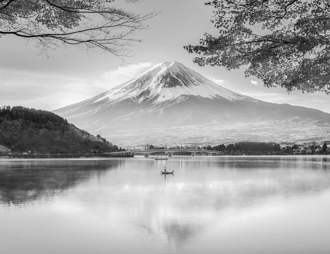 Noah Jigsaw Puzzle Two Monkeys with Baby in Cedar Forest of Ifrane, Morocco in black white 1000 pieces