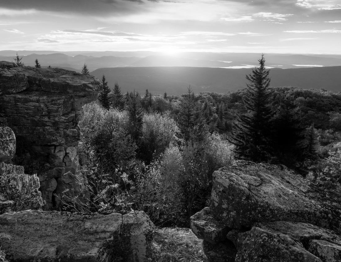 Noah Jigsaw Puzzle Interlaken, Switzerland on the Aare River at dawn with river reflections in black white 1000 pieces