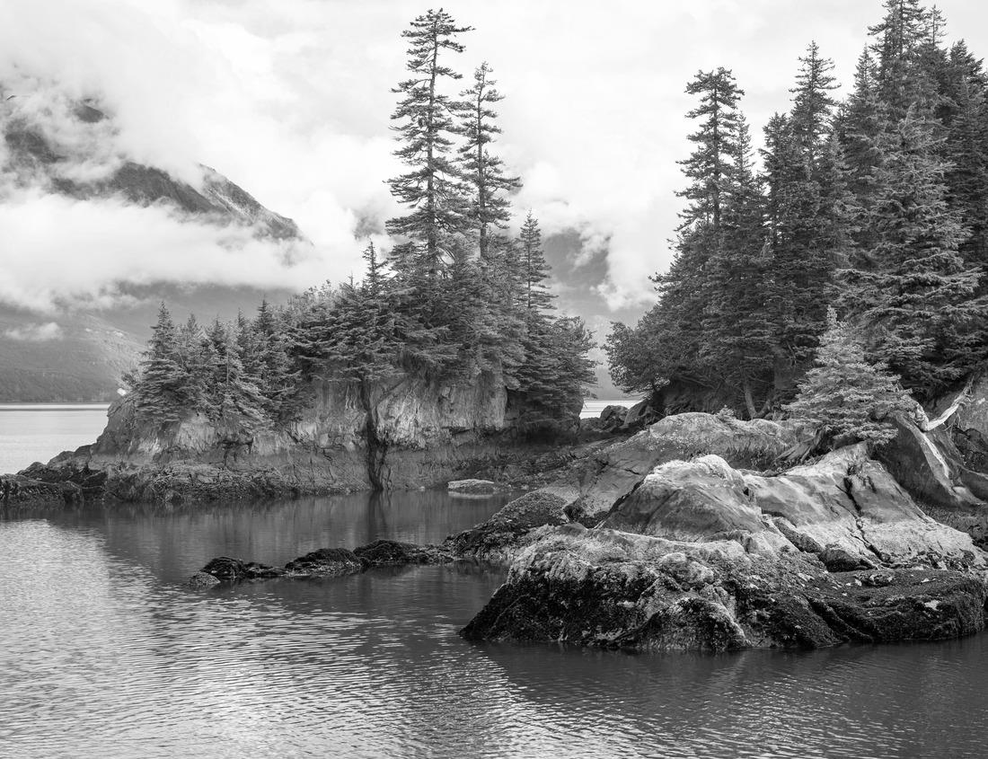 Noah Jigsaw Puzzle The Historic, red roof New York State House hosts the state's politics and government in Albany in black white 1000 pieces
