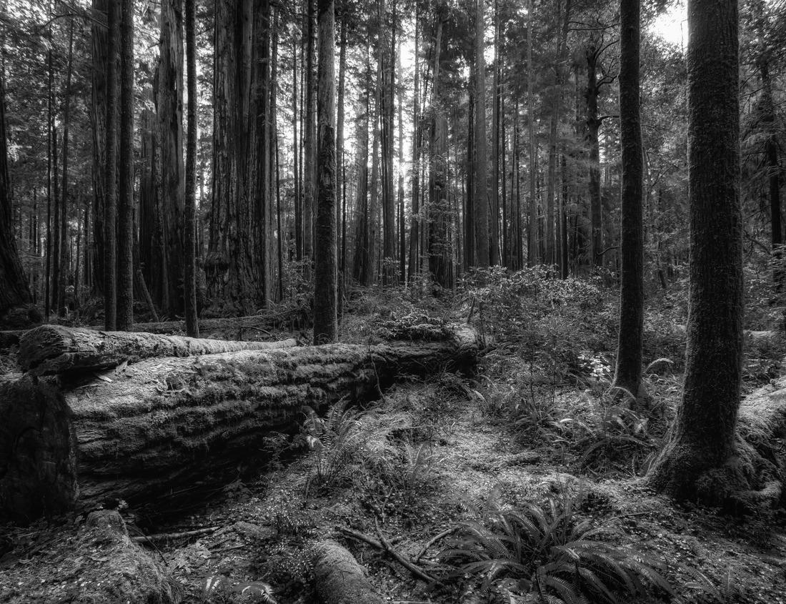 Noah Jigsaw Puzzle Harbour Agios Nikolaos, Island Crete, Greece in black white 1000 pieces
