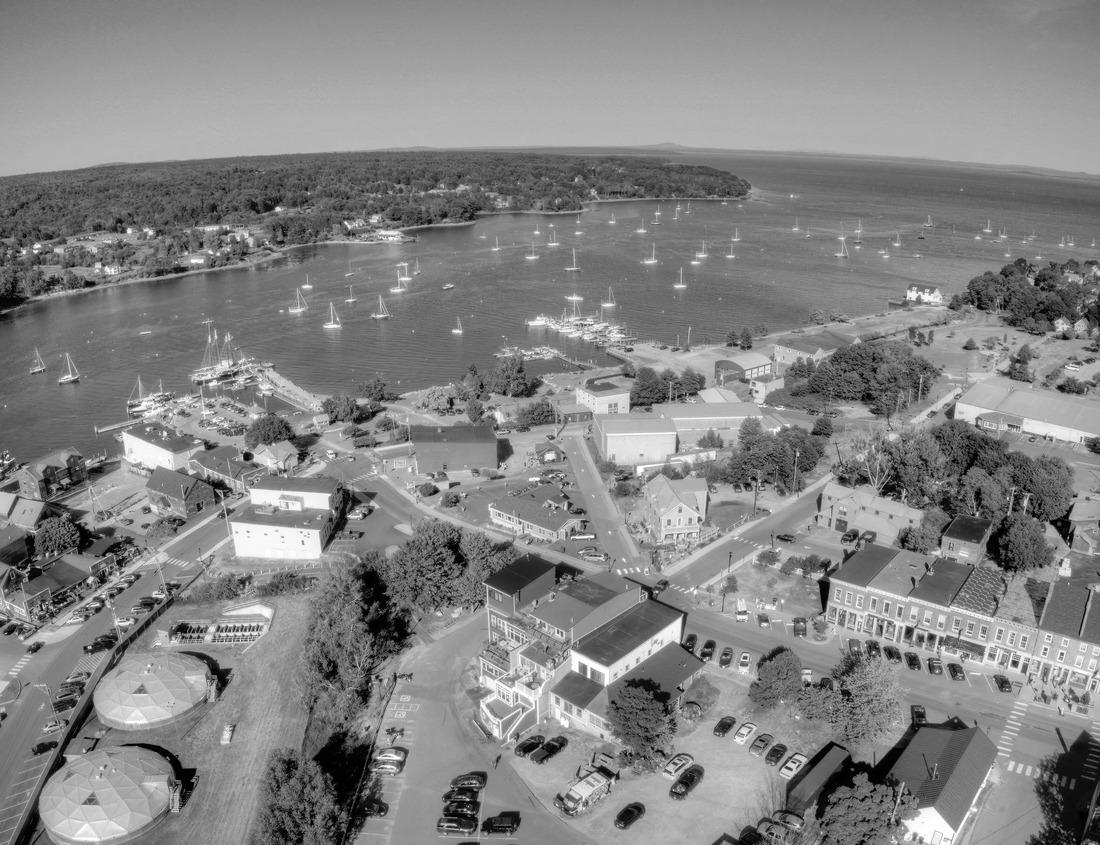 Noah Jigsaw Puzzle The dramatic geysers of Te Puia, Rotorua Geothermal Park, New Zealand in black white 1000 pieces