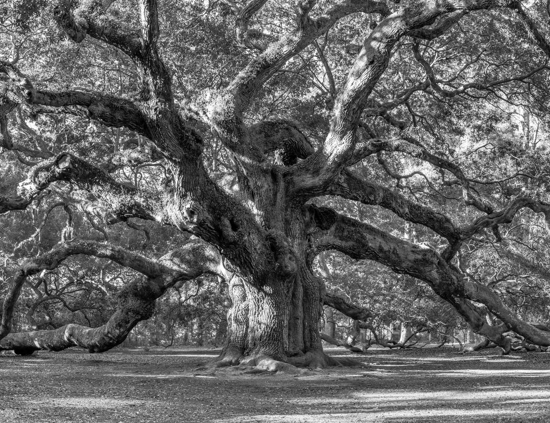 Noah Jigsaw Puzzle WONDERFUL PANORAMA WINTER VIEW ON PRAGUE CASTLE, HRADCANY, CZECH REPUBLIC, ZIMNÍ PRAŽSKÝ HRAD, HRADCANY, KRÁSNÝ POHLED in black white 1000 pieces