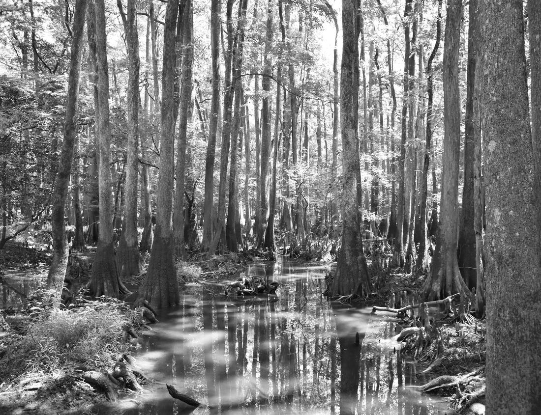 Noah Jigsaw Puzzle Banska Bystrica cityscape at sunrise in summer, Slovakia. Aerial view of the main Slovak National Uprising square in Banska Bystrica town in black white 1000 pieces