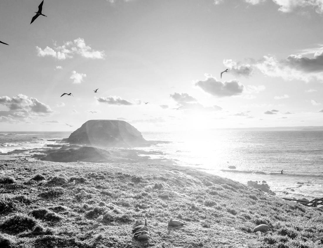Noah Jigsaw Puzzle The ancient city of Volubilis near the city of Meknes in Morocco. Volubilis is a destroyed Carthage, later Roman city in Morocco, where Meknes is a UNESCO in black white 1000 pieces