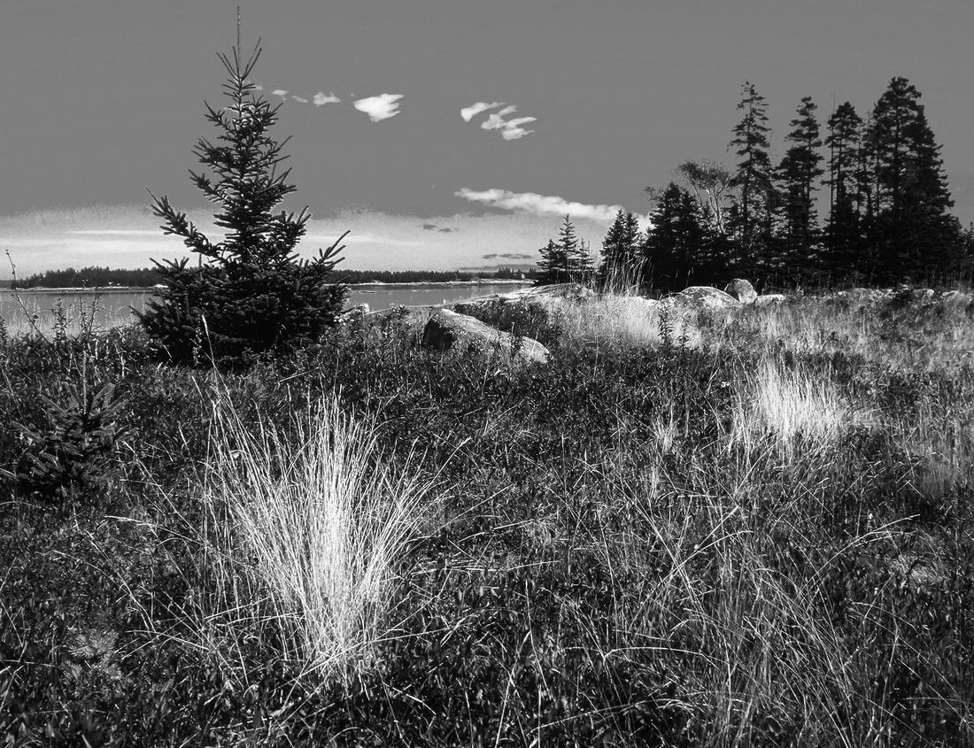 Noah Jigsaw Puzzle Ostseebad Kühlungsborn | Seaside resort in Germany in black white 1000 pieces
