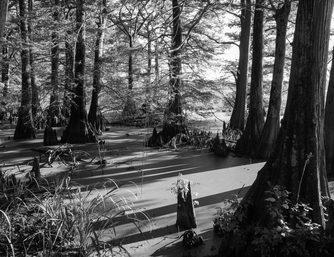 Noah Jigsaw Puzzle The Kyrenia Castle view in Cyprus in black white 1000 pieces