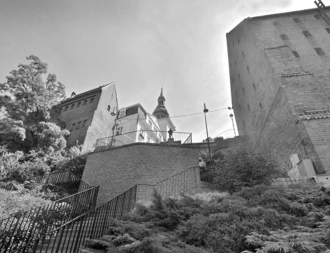 Noah Jigsaw Puzzle Andringitra national park, Haute Matsiatra region, Madagascar, beautiful mountain landscape with trail to Chameleon peak and massifs. Hiking in Andringitra mountains. Madagascar wilderness landscape in black white 1000 pieces