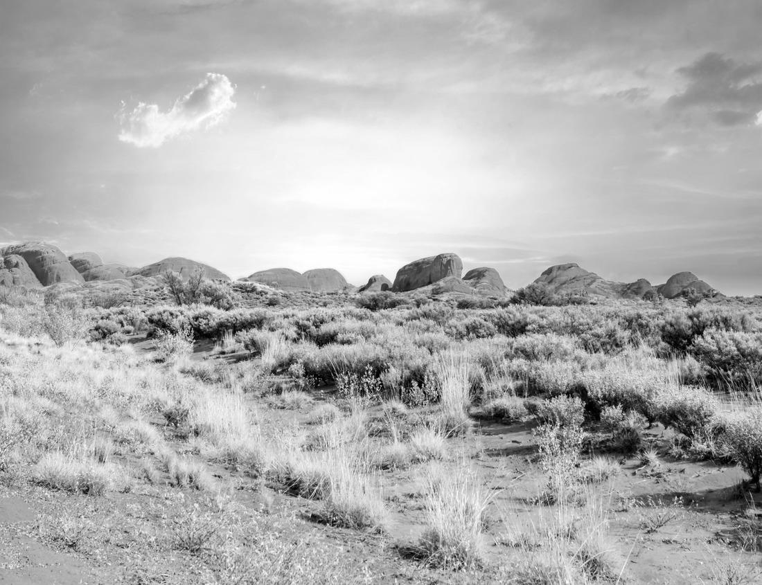 Noah Jigsaw Puzzle Lake Bled in Slovenia. Beautiful mountains and Bled lake with small Pilgrimage Church. Bled lake and island with Pilgrimage Church of the Assumption of Maria. Bled, Slovenia, Europe in black white 1000 pieces