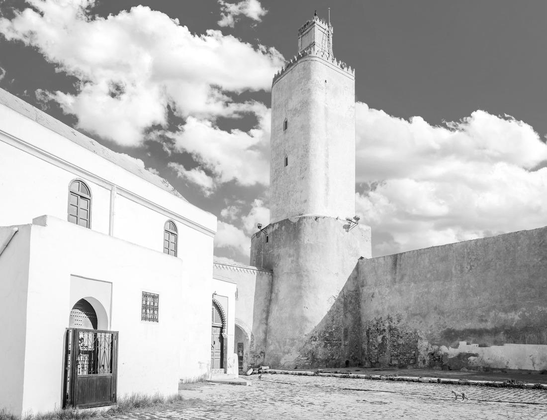 Noah Jigsaw Puzzle View of Grand Canal with Rialto Bridge and gondoliers in Venice, Italy. Landscape with Rialto Bridge and gondola on the Grand Canal in Venice, Italy in black white 1000 pieces
