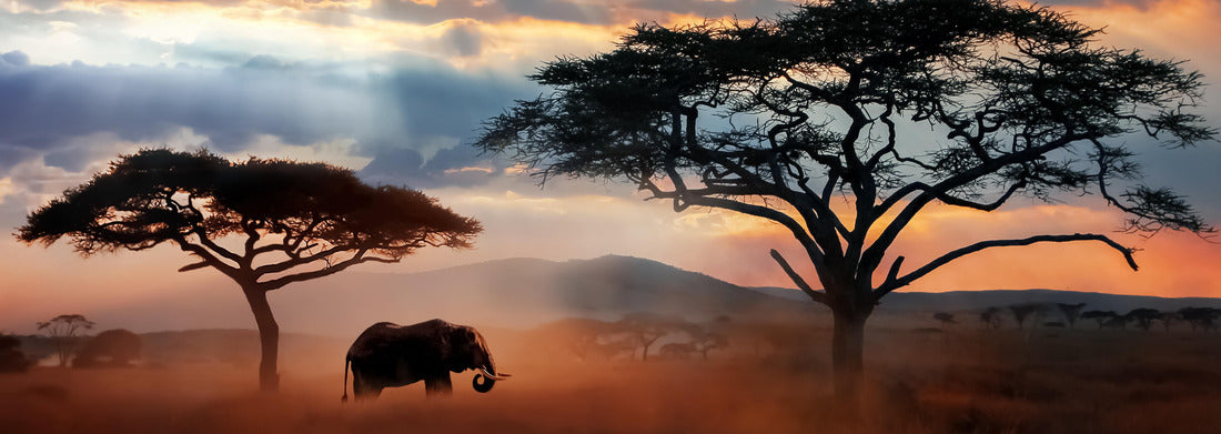 Noah Jigsaw Puzzle Wild African elephant in the savannah. Serengeti National Park. Wildlife of Tanzania. African landscape panorama 1000 pieces