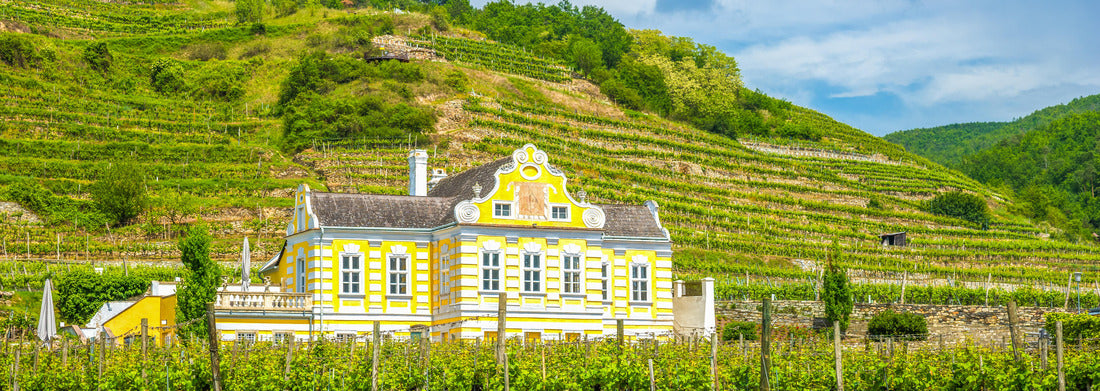 Wineyard in Duernstein, Wachau, Austria 1000pc Panoramic Puzzle
