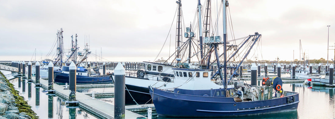 Noah Jigsaw Puzzle A harbor in Crescent City California panorama 1000 pieces