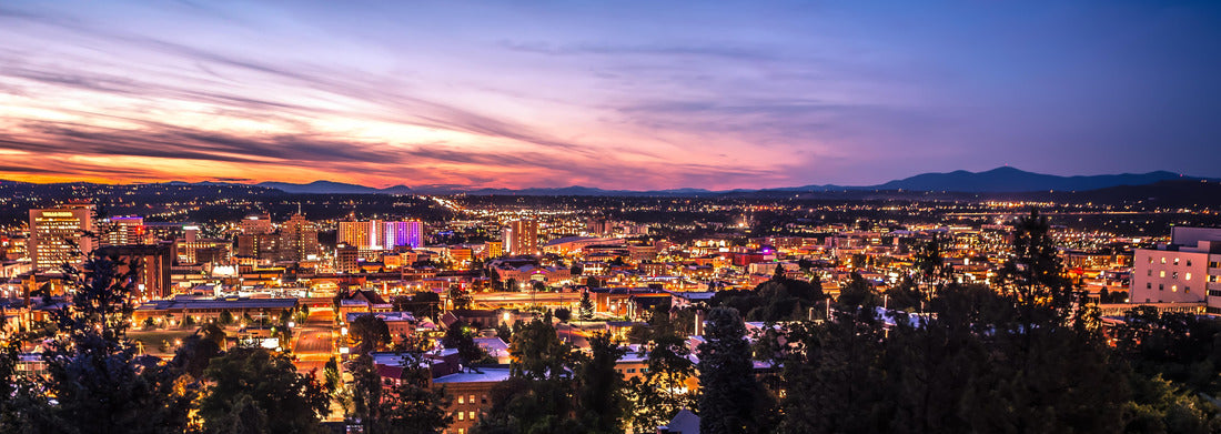 Noah Jigsaw Puzzle Panoramic View Spokane Washington Downtown City Skyline panorama 1000 pieces