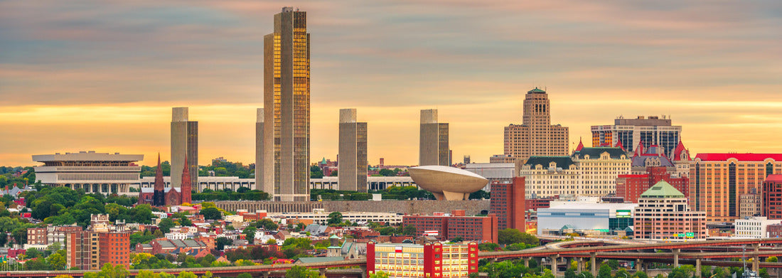 Noah Jigsaw Puzzle Albany, New York, USA downtown city skyline at dusk panorama 1000 pieces
