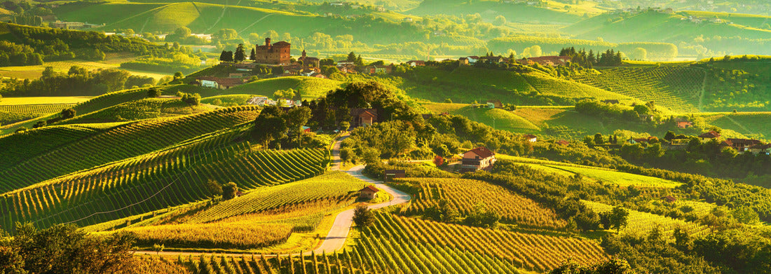 Noah Jigsaw Puzzle Langhe vineyards sunset panorama, Grinzane Cavour, Unesco site, Piedmont, northern Italy panorama 1000 pieces