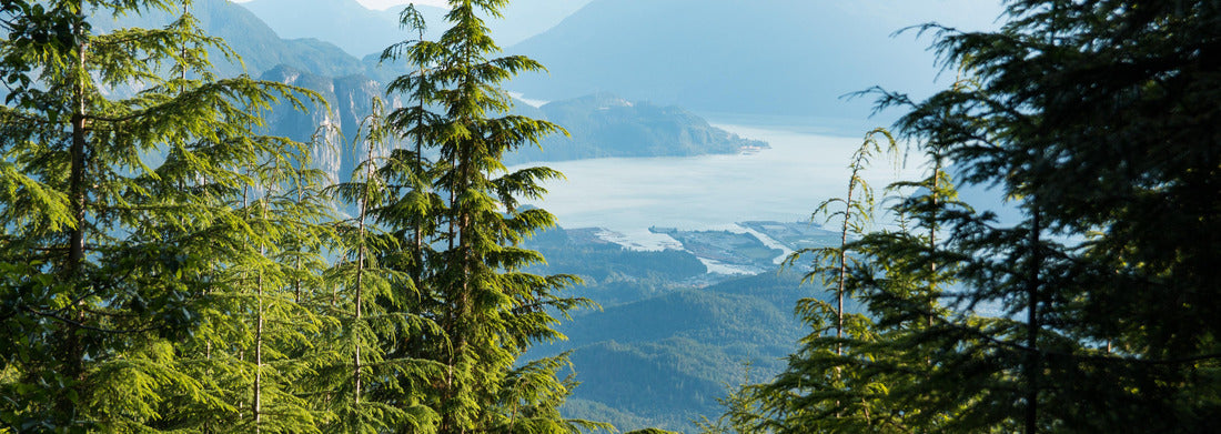 Noah Jigsaw Puzzle View over the Howe Sound Inlet, British Columbia, Canada panorama 1000 pieces