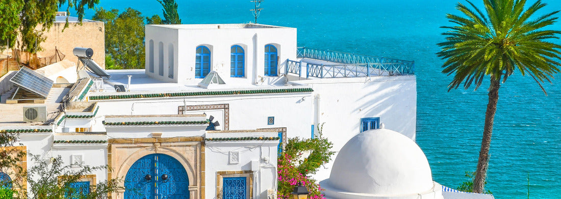Noah Jigsaw Puzzle Sidi Bou Said, a famous village with traditional white and blue Tunisian architecture, Tunisia panorama 1000 pieces