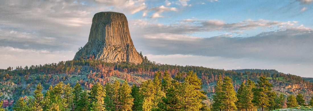 Noah Jigsaw Puzzle Devil's Tower National Monument in Wyoming Under the Early Morning Cloudy Sky with the forest in the foreground panorama 1000 pieces