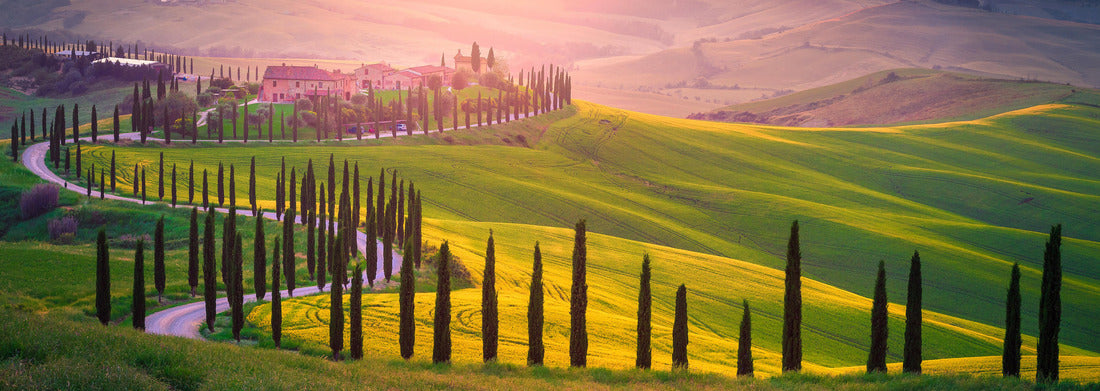 Noah Jigsaw Puzzle Well-known Tuscan landscape with grain fields, cypress trees and houses on the hills at sunset. Summer landscape with winding road in Tuscany, Italy panorama 1000 pieces