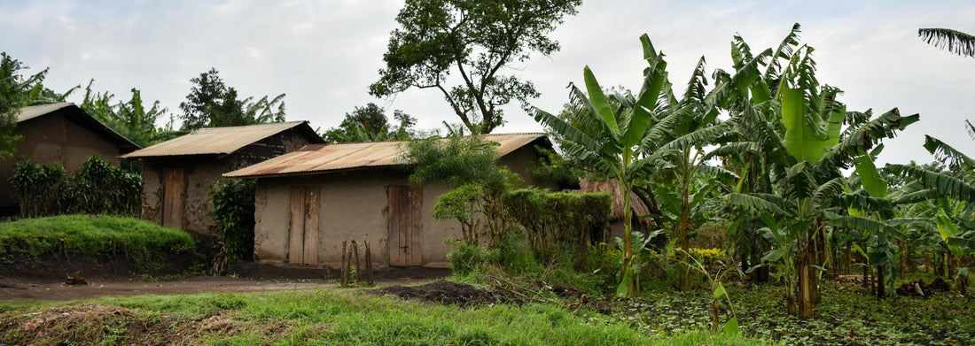 Noah Jigsaw Puzzle House and Banana Plantation in Rural Uganda panorama 1000 pieces
