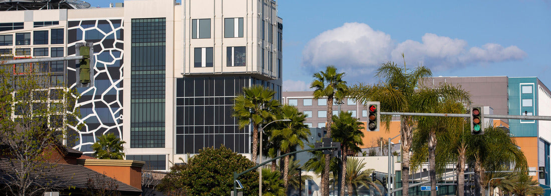 Noah Jigsaw Puzzle Daytime view of Buena Park, California panorama 1000 pieces