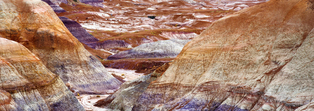Noah Jigsaw Puzzle Striped purple sandstone formations of Blue Mesa badlands in Petrified Forest National Park, Arizona, USA panorama 1000 pieces