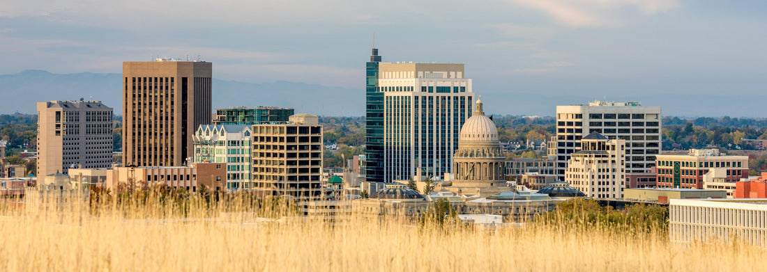 Noah Jigsaw Puzzle Boise Idaho skyline with tan colored grass foreground panorama 1000 pieces
