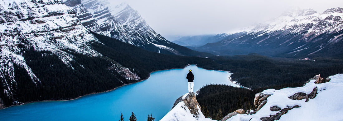 Noah Jigsaw Puzzle View of Peyto Lake, Banff National Park, Alberta panorama 1000 pieces