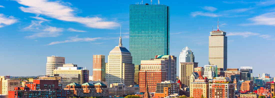 Noah Jigsaw Puzzle Boston, Massachusetts, USA Skyline over Boston Common panorama 1000 pieces