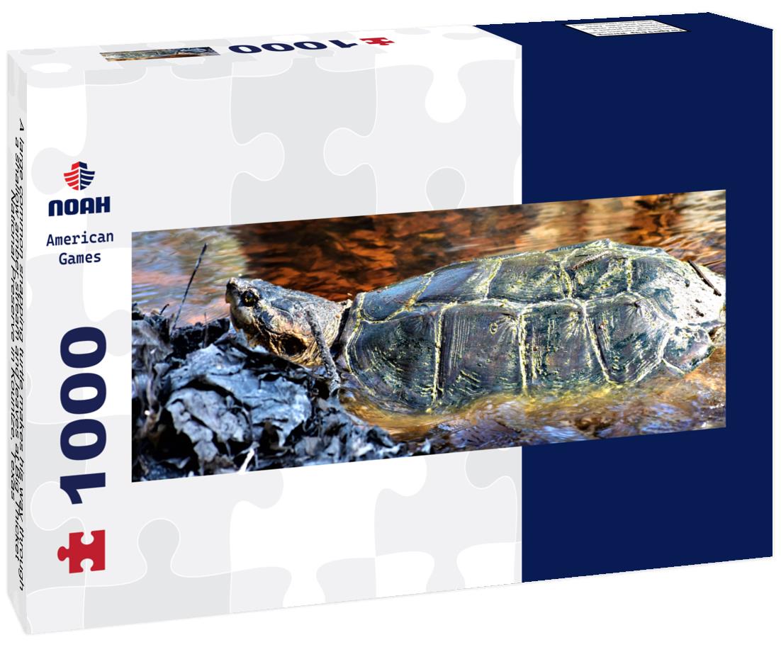 Noah Jigsaw Puzzle A large common snapping turtle makes his way through a shallow amber stream and leaves at Big Thicket National Preserve in Kountze, Texas panorama 1000 pieces