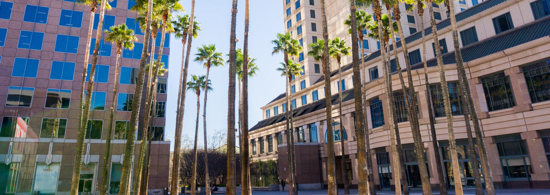 Noah Jigsaw Puzzle Urban landscape in downtown San José, Silicon Valley, California panorama 1000 pieces