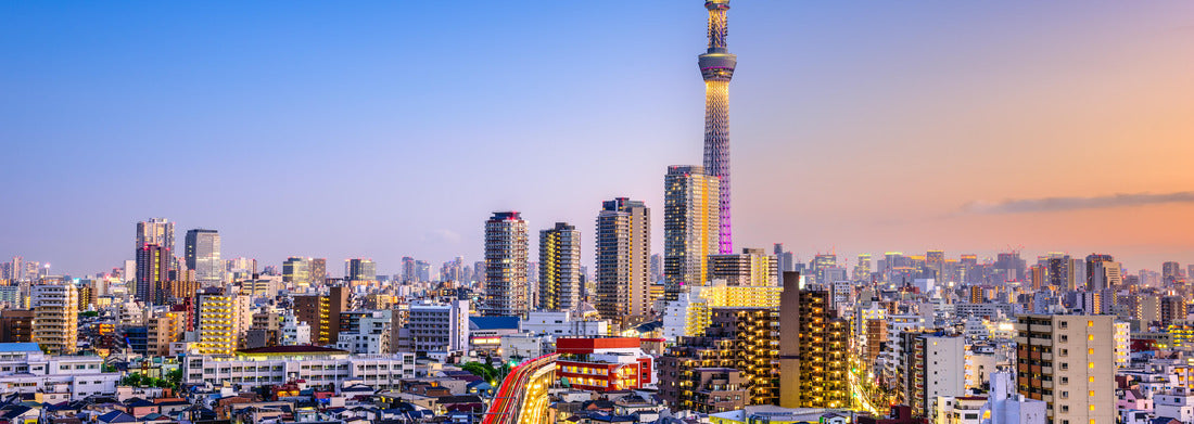 Noah Jigsaw Puzzle Tokyo, Japan Sumida skyline at dusk panorama 1000 pieces