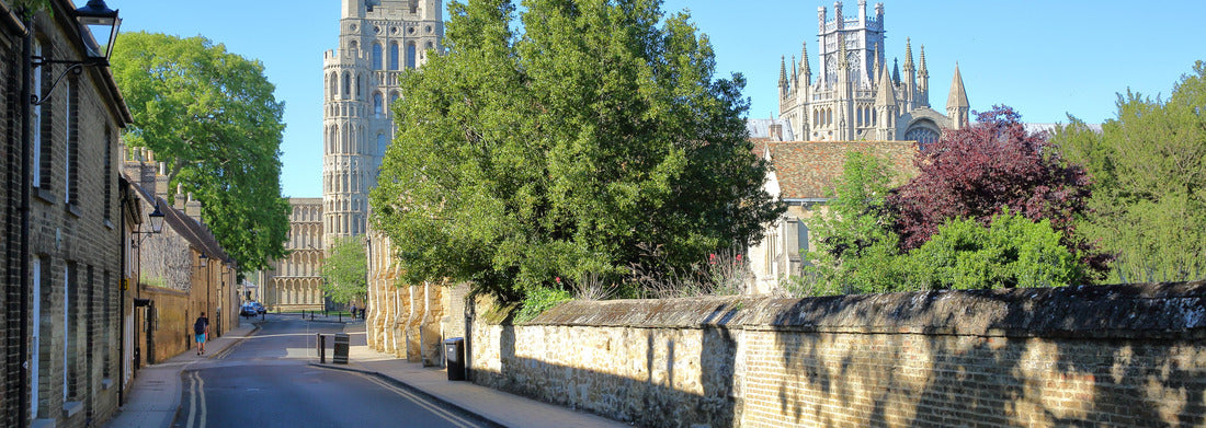 Noah Jigsaw Puzzle View of the south section of Ely Cathedral from Gallery Street in Ely, Cambridgeshire, United Kingdom panorama 1000 pieces
