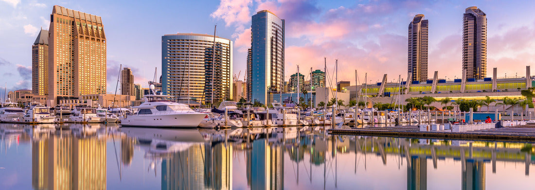 Noah Jigsaw Puzzle San Diego, California, USA Downtown City skyline panorama 1000 pieces