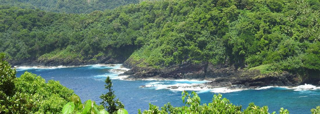 Noah Jigsaw Puzzle Seascape at the National Park of American Samoa panorama 1000 pieces