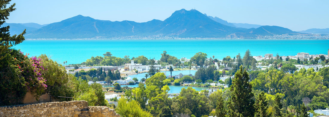 Noah Jigsaw Puzzle Landscape with ancient ruins of Carthage. Tunisia, Africa panorama 1000 pieces