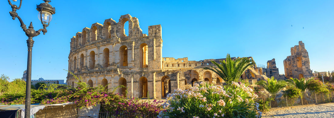 Noah Jigsaw Puzzle Panoramic view of the ancient Roman amphitheater in El Djem. Governor of Mahdia, Tunisia, North Africa panorama 1000 pieces