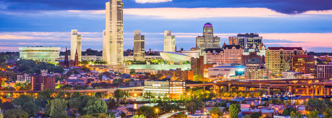 Noah Jigsaw Puzzle Albany, New York, USA city skyline at twilight panorama 1000 pieces