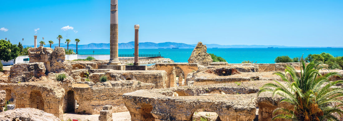 Noah Jigsaw Puzzle Panoramic view of ancient Carthage, Tunisia panorama 1000 pieces