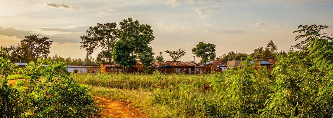 Noah Jigsaw Puzzle A very dusty road around the Sipi falls in the Monte Elgon national park in Uganda panorama 1000 pieces