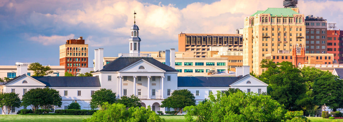 Noah Jigsaw Puzzle Richmond, Virginia, USA downtown cityscape and historic architecture panorama 1000 pieces
