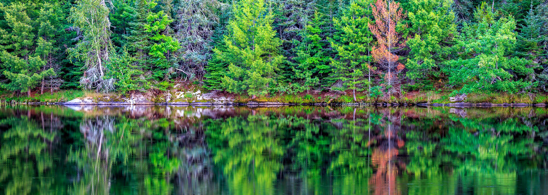 Noah Jigsaw Puzzle Voyageurs National Park panorama 1000 pieces