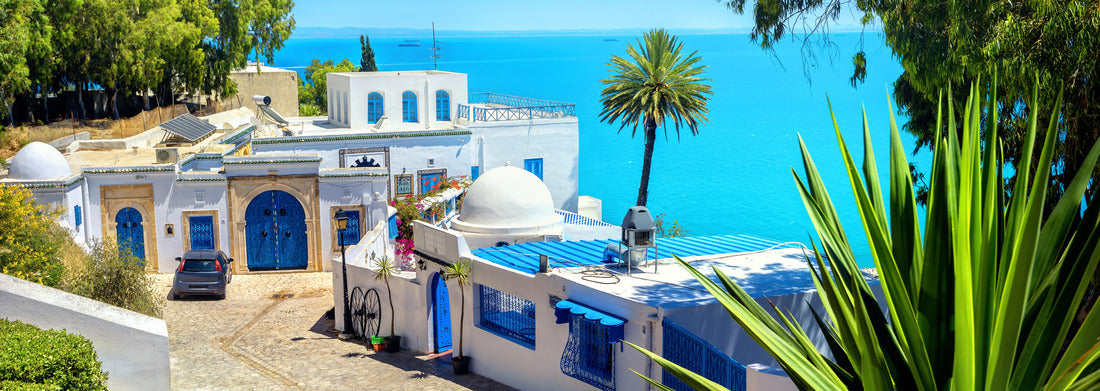 Noah Jigsaw Puzzle View of the seaside resort of Sidi Bou Said. Tunisia, North Africa panorama 1000 pieces
