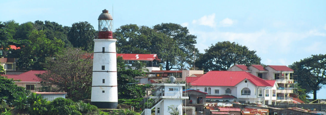 Noah Jigsaw Puzzle Freetown, the port of Sierra Leone, West Africa panorama 1000 pieces