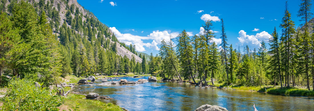 Noah Jigsaw Puzzle Yellowstone National Park - madison River viewpoint, west gate, Wyoming, USA panorama 1000 pieces