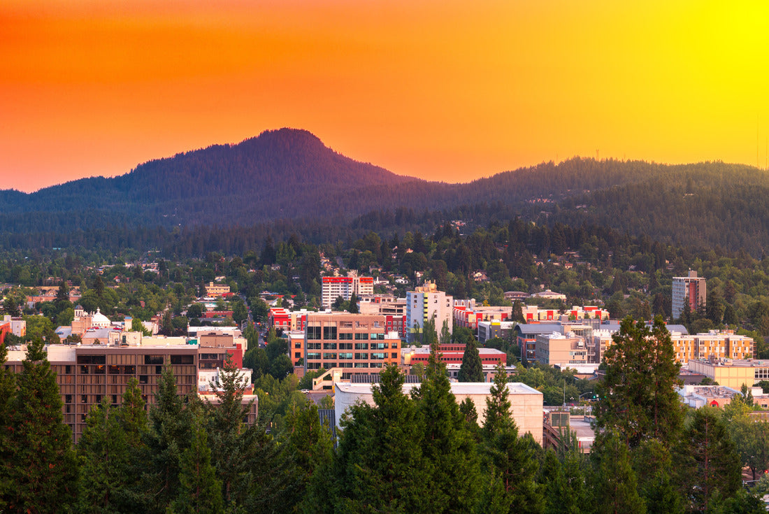 Noah Jigsaw Puzzle Eugene, Oregon, USA downtown cityscape at dusk 2000 pieces